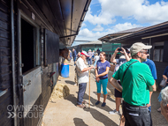 PN210822-161 - Paul Nicholls Stable Visit